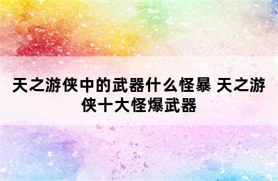 天之游侠中的武器什么怪暴 天之游侠十大怪爆武器